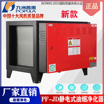 Kyushu PF Static Oil Smoke Purifier Hotel Kitchen Commercial BBQ low-air emission free smoke-free and environmental protection
