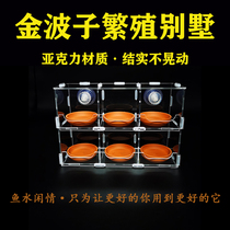 Jinbozi breeding plate isolation box breeding Villa incubator box acrylic shallow plate breeding rack suction cup breeding House