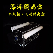 Fish tank acrylic water fairy pneumatic floating isolation box Sanhu cichlid South American special rat fish breeding incubator box