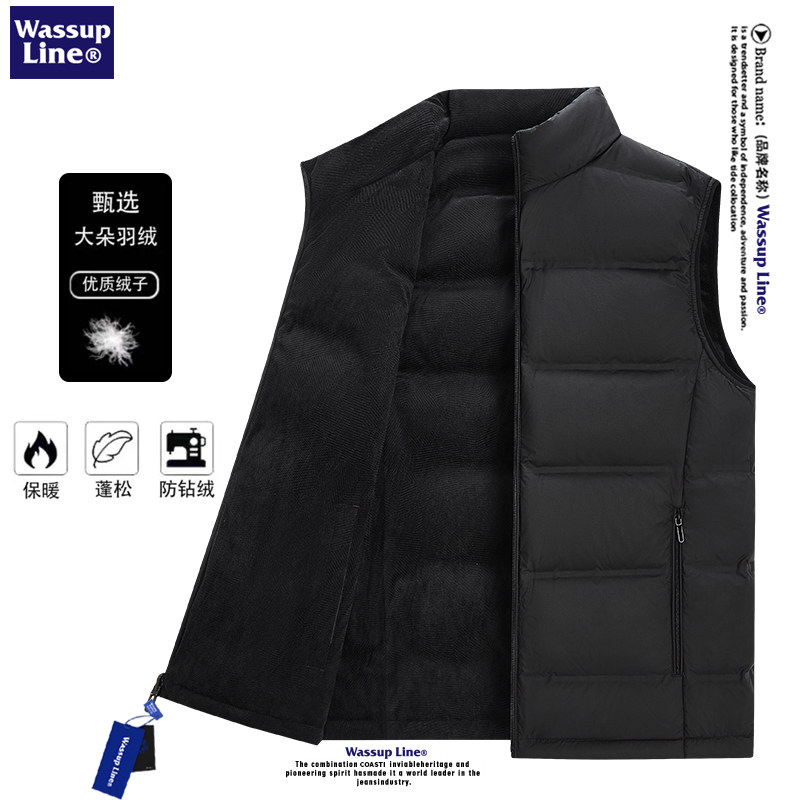 Men's down Vest 2025 New Autumn and Winter Outdoor Windproof Lightweight Warm Vest Jacket Reversible