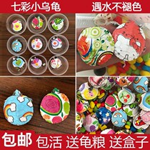 Colorful color small Turtle cartoon water turtle red ornamental turtle seedling printing luminous fluorescent Brazilian luminous small pet