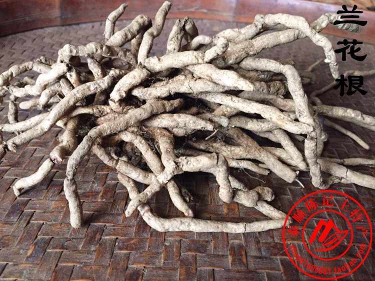Orchid Root Wenzhou Taishun Chen Ji Yidian Native Orchid Herb 500g Bone Broken Bone Pain and Pig Feet Stewed Soup