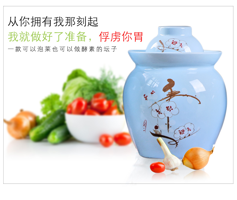 The Pickle jar jingdezhen ceramic household small pickled pickles pickles seal storage tank sealing Pickle jar