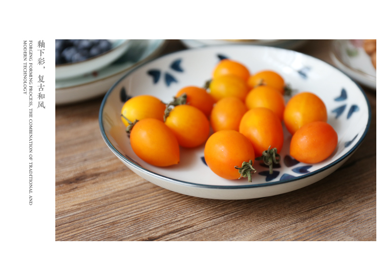 Shed and wind under glaze color porcelain plate in the breakfast tray was sushi plate cake dab of disc fruit bowl bowl dishes taste
