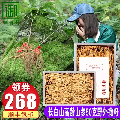 Yuqifeng 50 Kinkashan ginseng seed goods under the forest wild ginseng gift box Northeast mountain ginseng wine soup
