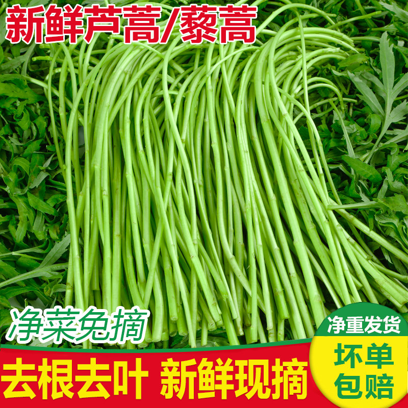 The Artemisia is fresh as the resveria goes to the root to go to the leafy Artemisia 5 catty farmhouse self-planted with the fresh vegetable wild vegetables-Taobao