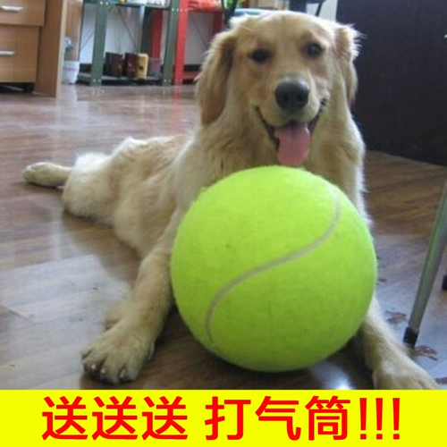 Большая маленькая игрушка, прорезыватель для правильного прикуса, лента, колокольчик, домашний питомец, издает звуки