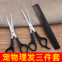Pet Beauty Scissors Teddy Hairy Cutting Cutting Tool Kit Dog Haircutting Tool Set Dog Cutting Tool