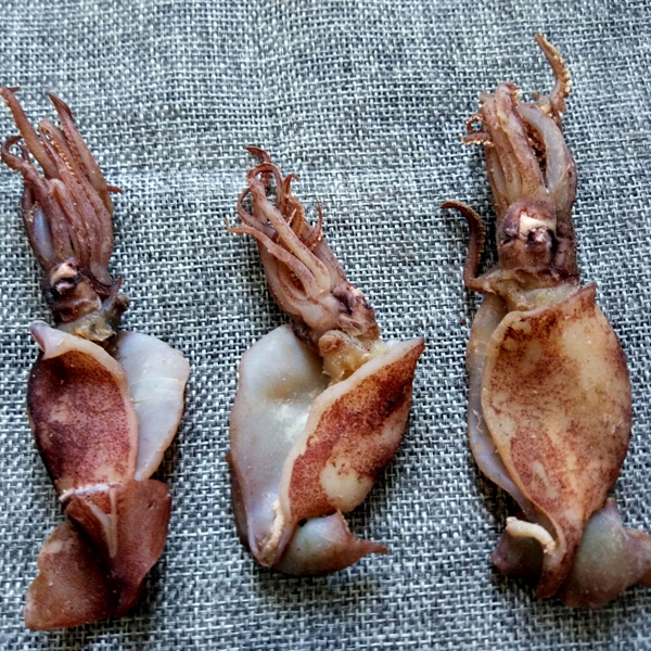 Dried sun dried squid 500g Visceral dried squid sea hare dried cuttlefish Dried cuttlefish pen tube dried fish