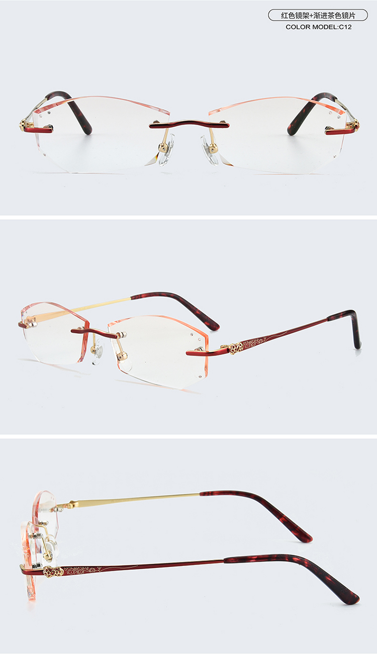 Montures de lunettes      en Titane pur - Ref 3139763 Image 20