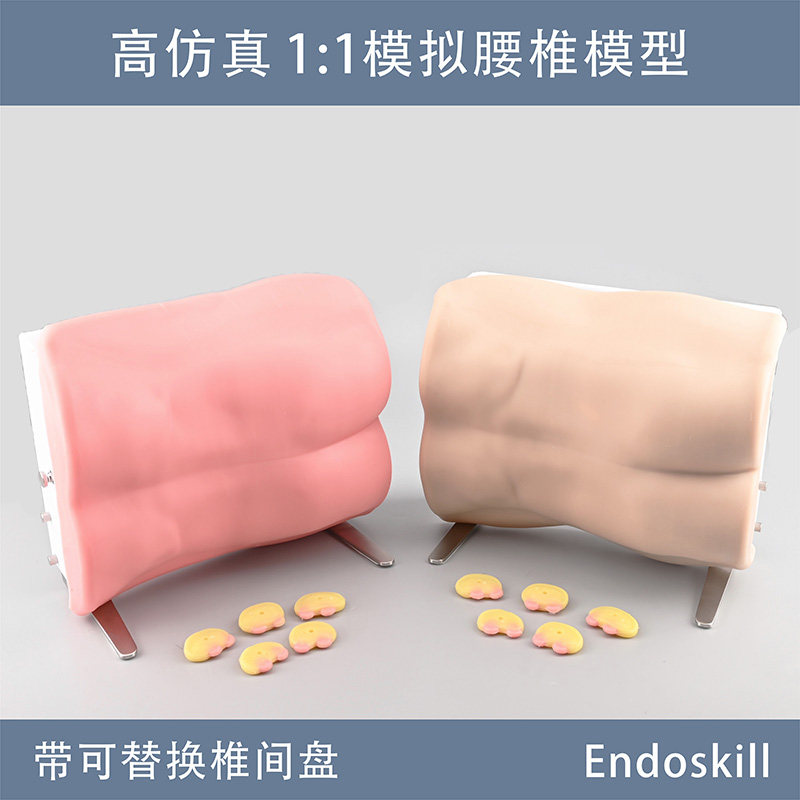 椎间孔模拟训练器模拟腰椎模型1:1模拟人体腰椎