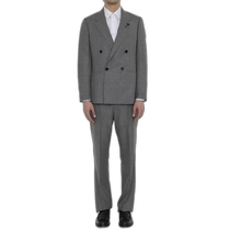 Hong Kong direct mail LARDINI mens suit EQ7756ESK62414900