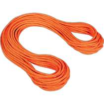 Japan direct mail MAMMUT 9 8 rock wall dry rope 201004280A-11238 rope