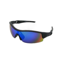 Japan direct mail OTHER polarized sunglasses SGB404302