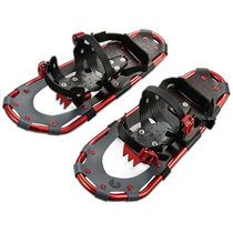 Japan direct mail Captain Stag CS snowshoes TYPE2 22inc with handbag UX-950 households