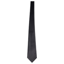 Hong Kong direct mail TAGLIATORE mens tie TIEA10003PER020