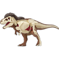 (Direct Mail from Japan) Megahouse Educational Toys Disassembly Tyrannosaurus Rex MH51628