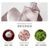 Burberry, румяна, духи, доставка напрямую из США, 200 мл