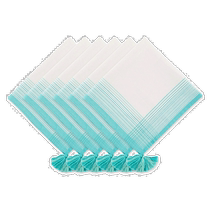 DII Border Stripe Fringe Napkin (Set of 6) - turquoise (US