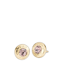 Direct mail from the United States Coach F54516-GLD gold open circle stone chain earrings