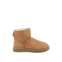 Hong Kong direct mail UGG womens boots 1016222CHE CO brown