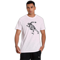 Hong Kong direct mail trendy luxury Puma Mens Performance Graphic short-sleeved T-shirt 5194