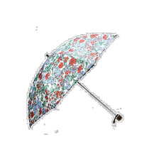 Korean direct mail DAKS MENS ACCESSORIES DBUM3E305R2 umbrella