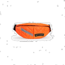 Korean direct mail SPYDER American outdoor sports fashion brand casual waist bag SPGFBNBG303UORG