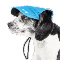 Pet Life Cap-Tivating UV Protective Adjustable Fashion Dog Cap - Blue (