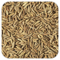 Direct shipping from Hong Kong Starwest Botanicals Organic Cumin Seed Powder 1 lb (453 6g)