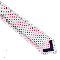 Hong Kong direct mail NICKY mens tie PEZZOBIOPER2
