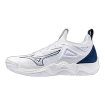 MIZUNO running errands Mizuno (men and women) volleyball shoes Wave Momentum 3 V1GA23