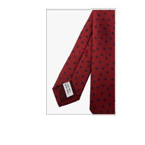 Hong Kong direct mail SALVATORE FERRAGAMO mens tie 350917762319