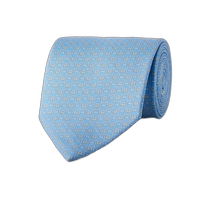 Hong Kong direct mail SALVATORE FERRAGAMO mens tie 1647597337185192