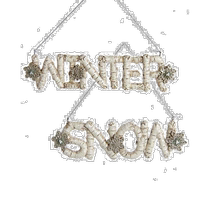 kurt s adler kurt adler 6 5 inch resin snow winter lettering set of 2 decor