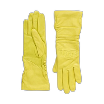 (Direct mail from the United States) ugg general gloves