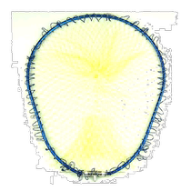 Daidongbo fine frame No 1219 L blue