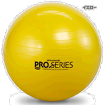Japan Direct Mail Diameter 45CM DM Youth Theraband Fitness Ball Pro Series Balance D
