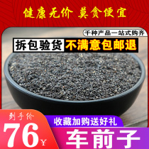 Plantain Seed 500g Sulphur Without Sulphur Screening Cart Front Real Seed Semen Plantaginis Powder Plantain Seed Tea New Goods Milling Powder