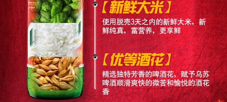新疆啤酒 夺命大乌苏 大红乌苏啤酒 620ml*12瓶 图16