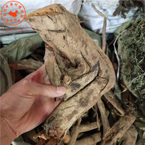 500 grams of Chinese medicinal materials: Eucommia ulmoides root Jiu Niu vine root Eucommia ulmoides root