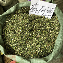New Chinese medicinal material Motherwort 500g Motherwort Motherwort tea Chinese herbal medicine can be made into tea for foot soaking