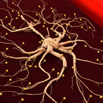 52-year-old elderly ginseng gift box gift box high-end Changbai Mountain pure forest wild ginseng Northeast dried goods raw sun-dried ginseng first class