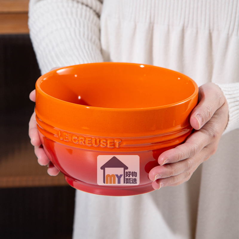 Cool Color Le Creuset Light Rainbow Neon Color Ceramic Bowl Soup Bowl Salad Bowl Housewarming Wedding Gift Enamel Bowl