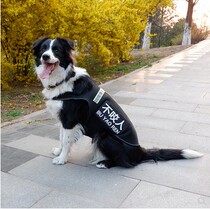 Pet Clothes Winter Season Vest Work Search And Rescue Dog Guard Dog Dod Shepherds Golden Fur Big Dog Clothes Horse Dog Patrol