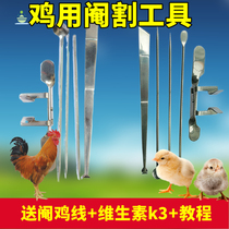  Castrated chicken tools A full set of castrated knife castrated device Operating table Farm-specific chicken equipment supplies artifact