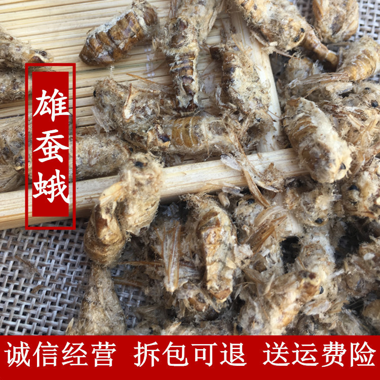 Male Silkworm Moth Dry Moth Worms 50 gr Wild Raw Male Silkworm Moth New Dry Goods Bubble Wine Material Late the Moth Public Wei Tianmoth