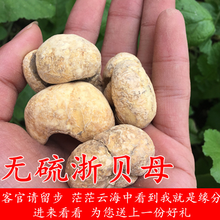 Zhejiang Province fritillaries Zhejiang Baijiaochuan Fritillaria Cirrhosa 250 gr Natural sulphur-free Chinese herbal medicine Grinding Powder Sichuan Fritillaria Cirrhosa
