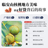 Every Fruit Time New Arrivals Lin'An Pecan Kernels Canned Small Walnut Meat Dried Fruit for Pregnant Women and Children Nut Snacks for New Year