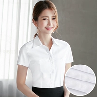 【V -neck】 Белый наклон с коротким рукавом